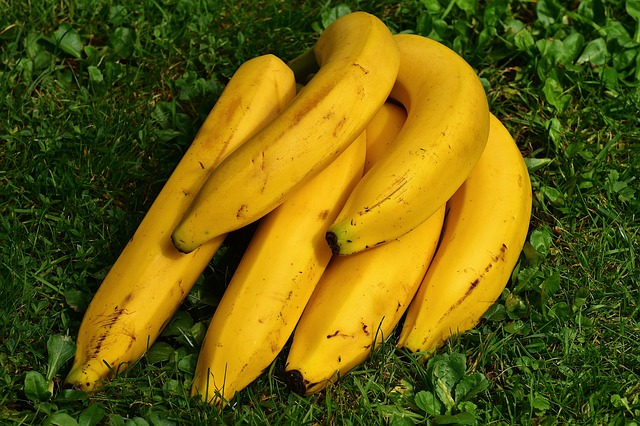 Como Montar Fbrica de Doce de Banana