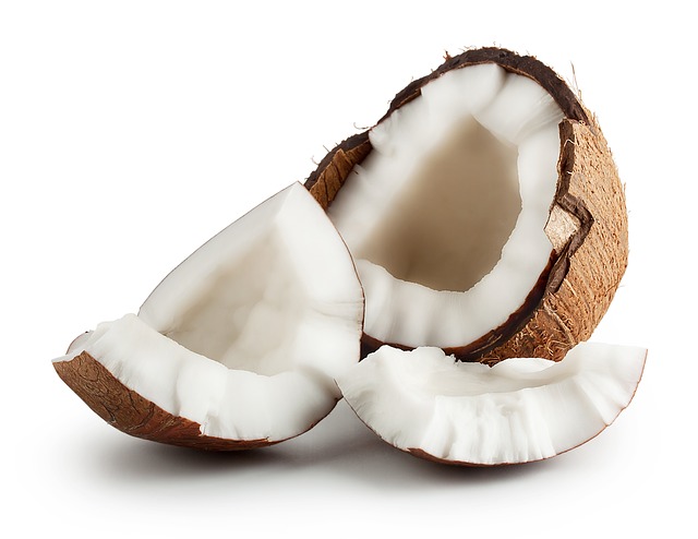 Projeto de Empresa de Processo de Industrializao do Coco