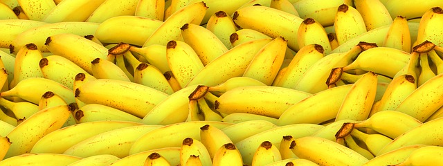 Projeto de Fábrica de Bananinhas