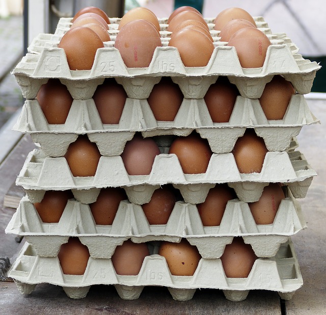 Projeto de Fábrica de Embalagens para ovos